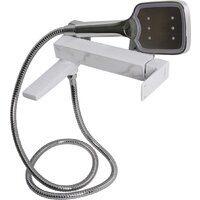 Ledeme L3173W