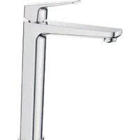 Ledeme L1181