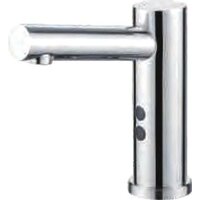Ledeme L1655-1
